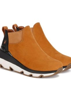 Newuniv.shope60425118b 2