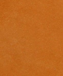 Newuniv.shope60425118b 3