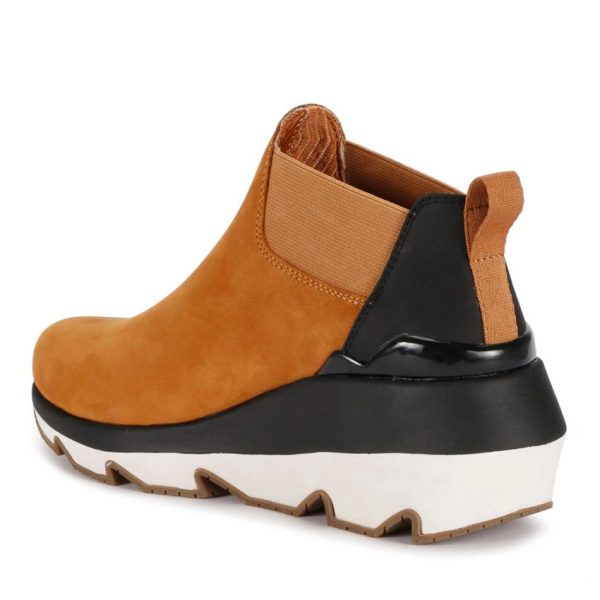 Newuniv.shope60425118b 4